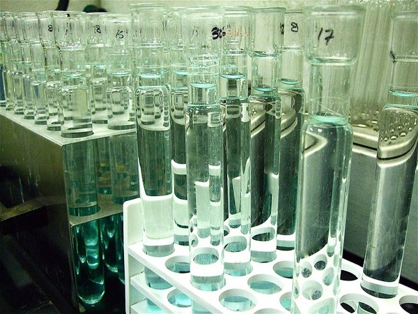 movilesbacterias2
