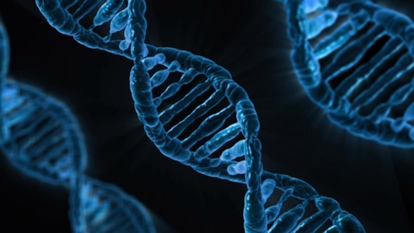 Cientí­ficos diseñan un smartphone que puede hacer tests de ADN