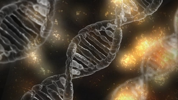 adn genes