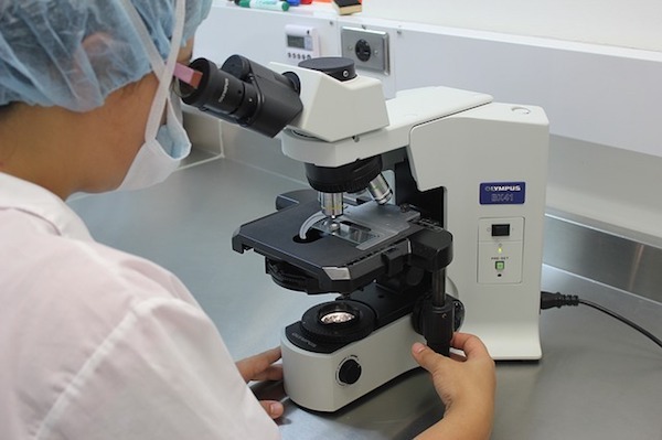 laboratorio adn
