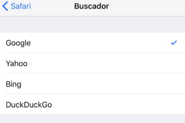 Buscador por defecto