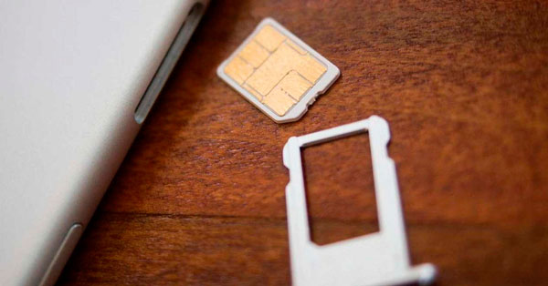 todo lo que debemos saber de la portabilidad amagos