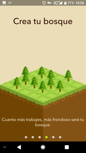 Forest 1