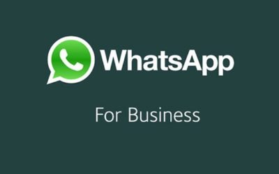 20 preguntas y respuestas sobre WhatsApp Business