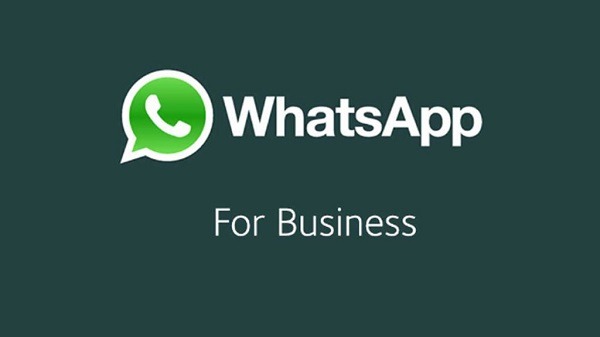 20 preguntas y respuestas sobre WhatsApp Business