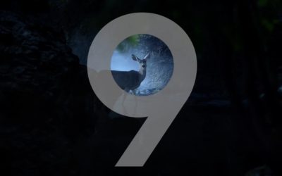 Samsung prepara el lanzamiento del Samsung Galaxy S9 con vídeos cortos