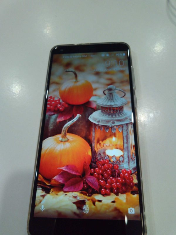 ZTE Blade V9 13