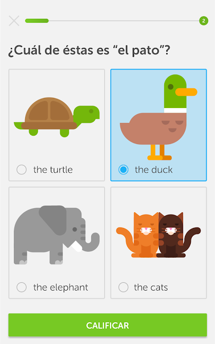 duolingo