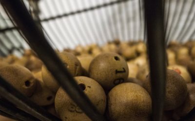 Cómo comprobar la Lotería de Navidad y los números premiados desde el móvil