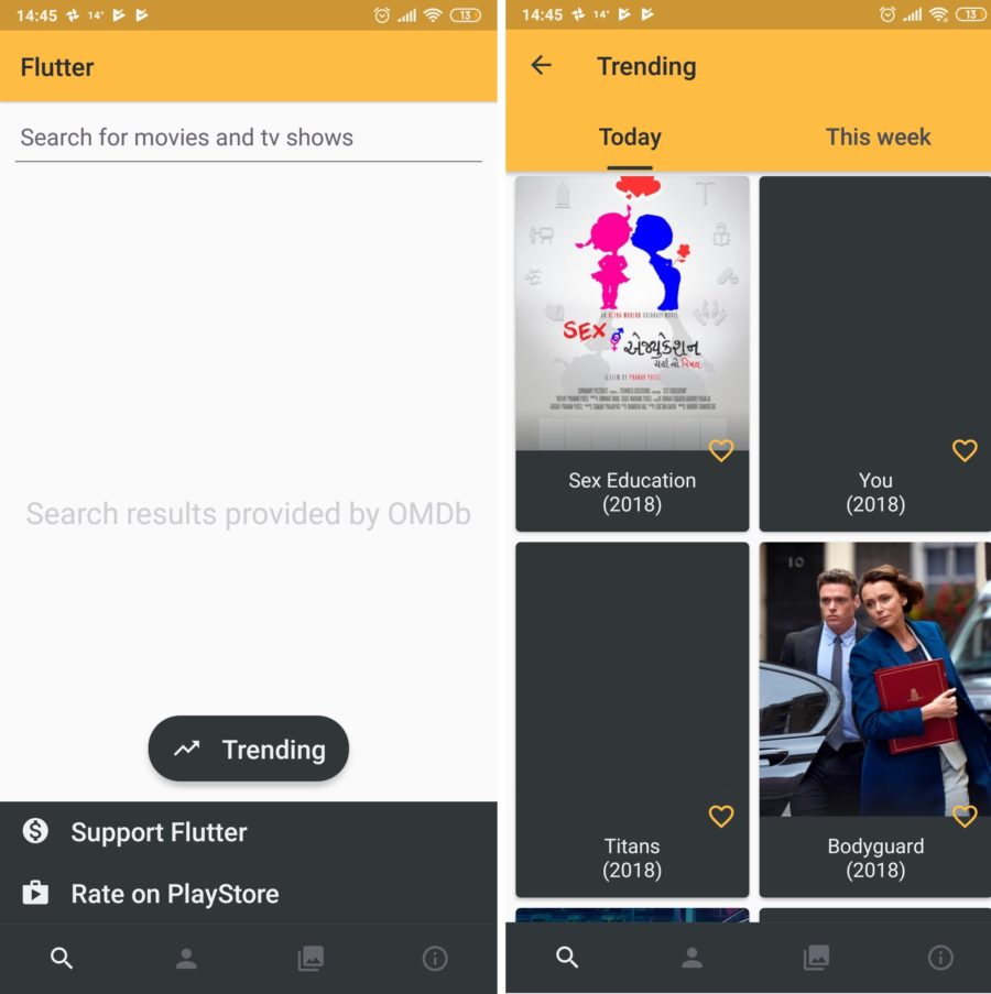 flutter app