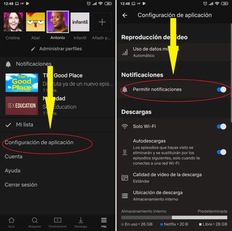 permitir notificaciones netflix