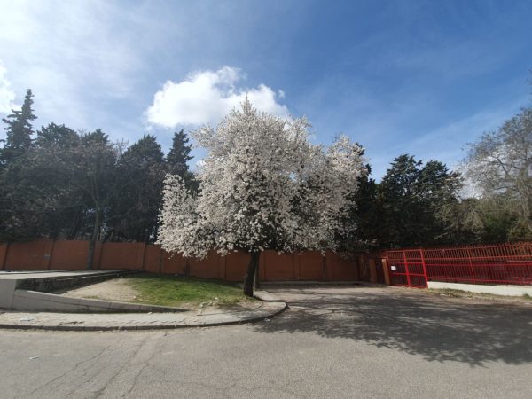 foto samsung galaxy s10 301