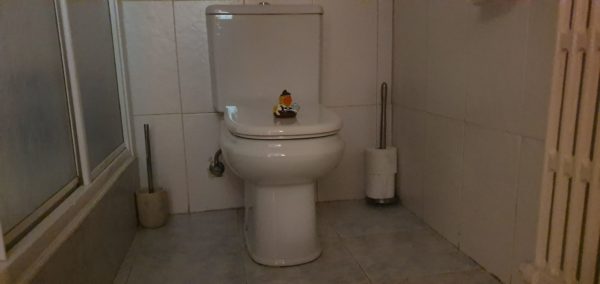 foto samsung galaxy s10 36