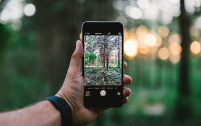 5 móviles con buena cámara para comprar ahora por menos de 400 euros