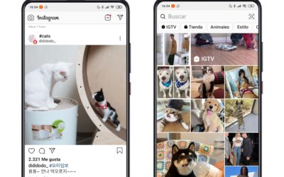 ¿Por qué Instagram no me deja compartir publicaciones en mi historia?