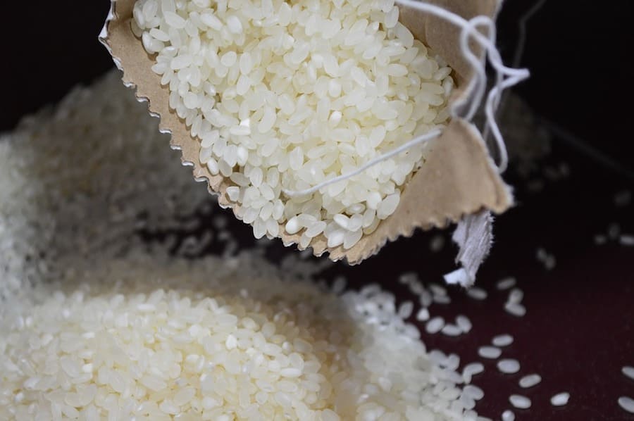 movil mojado arroz-2