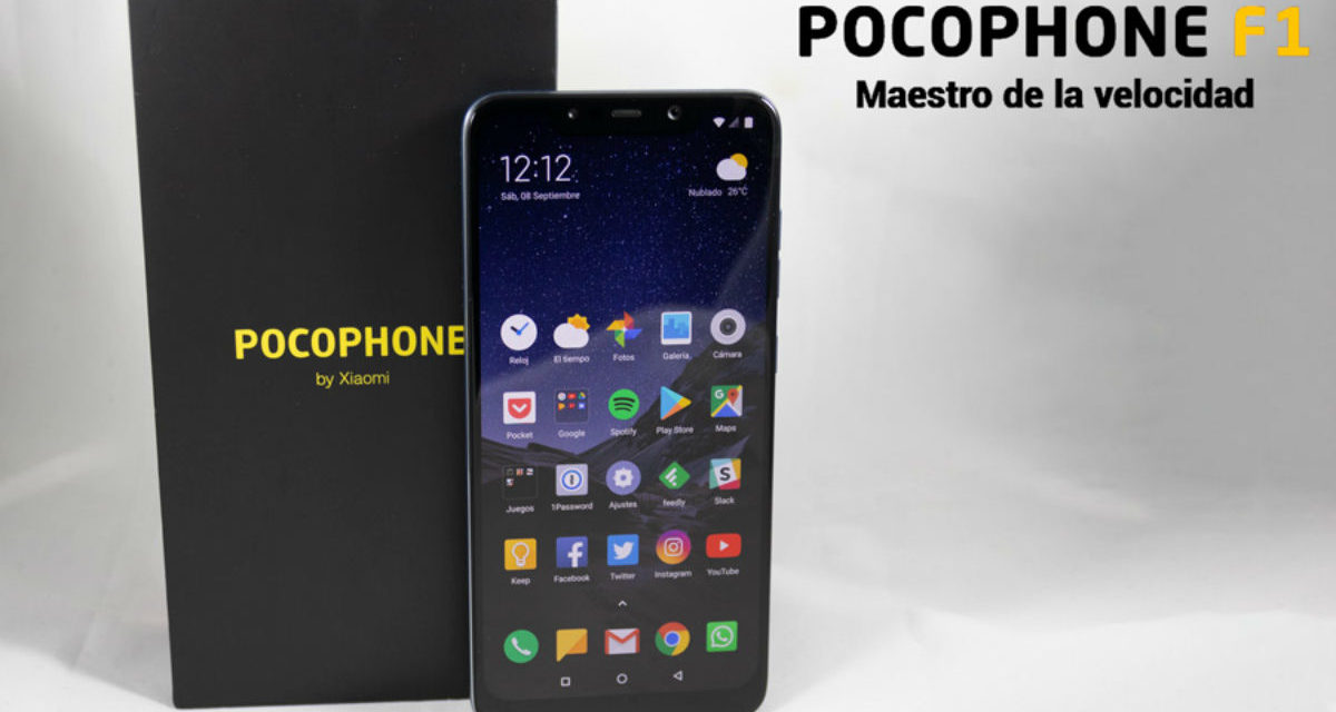 Cómo instalar MIUI 11 Global en el Pocophone F1