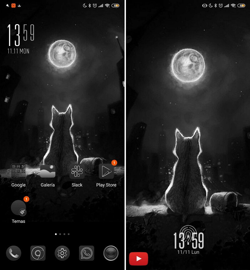 black cat ny