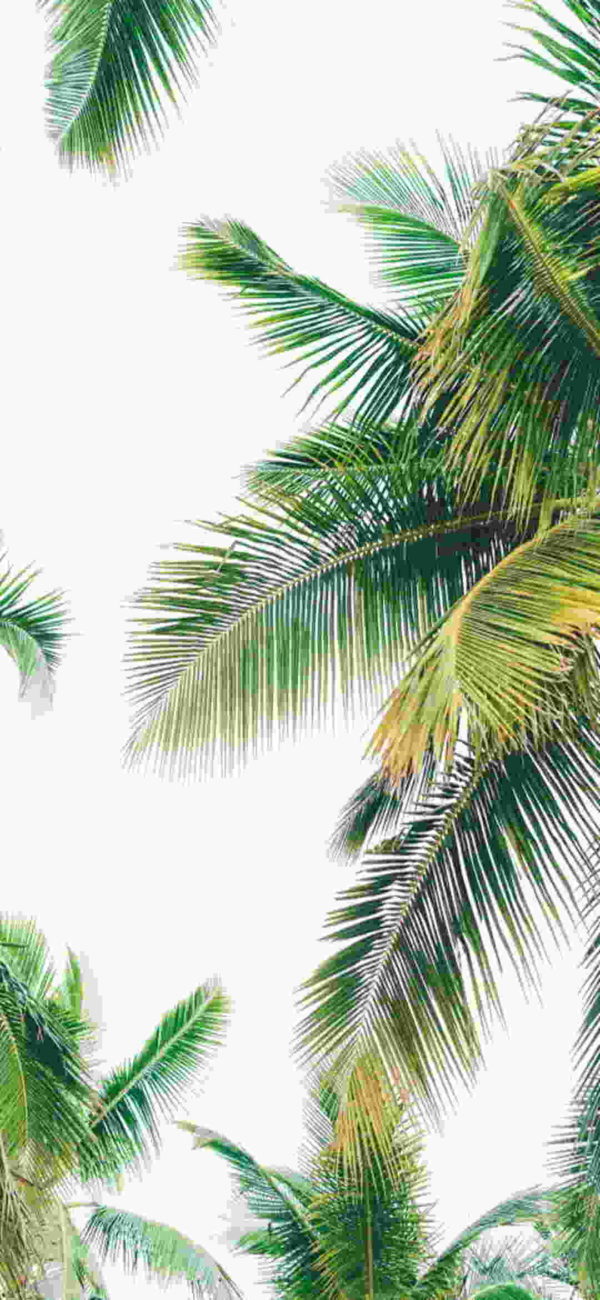 fondos de pantalla para Samsung 010