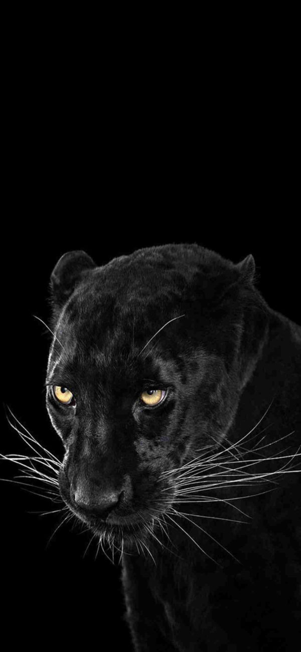 fondos de pantalla para Samsung 023