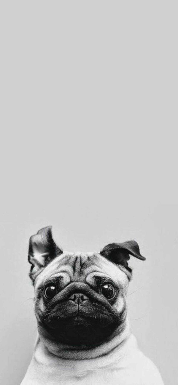 fondos de pantalla para Samsung 024