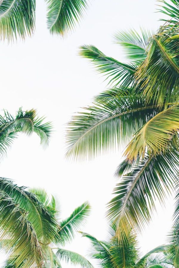 naturaleza_03