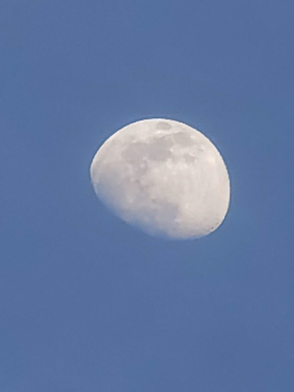 huawei-luna-02