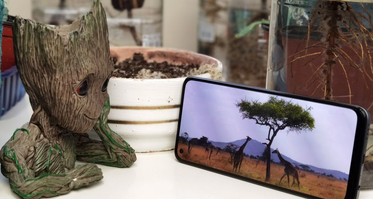El realme 8 Pro ya a la venta: 108 MP, carga rápida de 50W y pantalla AMOLED por menos de 300 euros