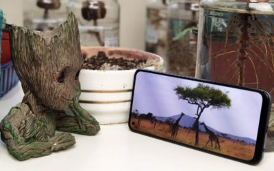 El realme 8 Pro ya a la venta: 108 MP, carga rápida de 50W y pantalla AMOLED por menos de 300 euros