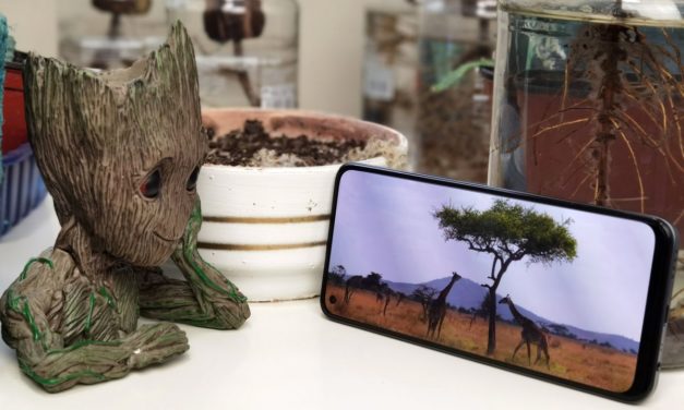 El realme 8 Pro ya a la venta: 108 MP, carga rápida de 50W y pantalla AMOLED por menos de 300 euros