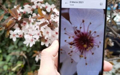 Las apps de Xiaomi no abren o se cierran: aquí la solución