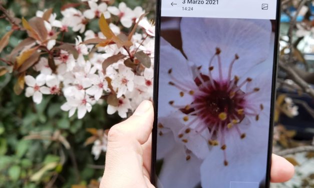 Las apps de Xiaomi no abren o se cierran: aquí la solución