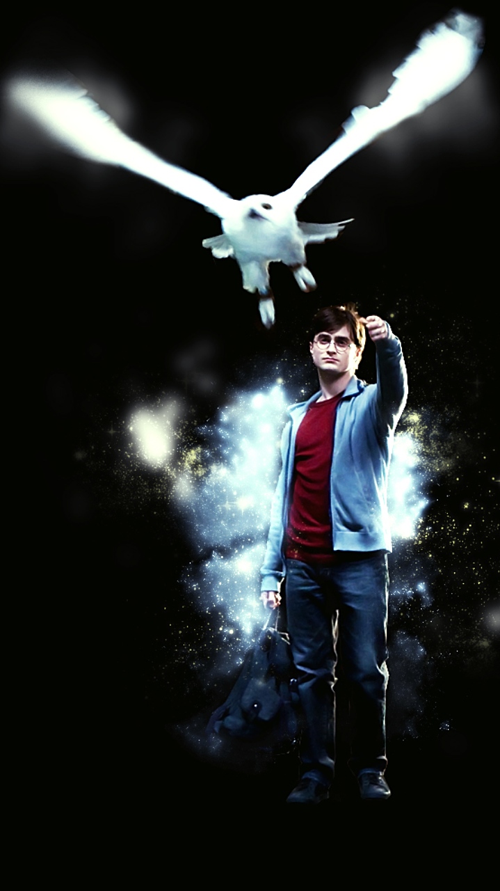 Fondo de pantalla de Harry Potter y Hedwig, su mascota