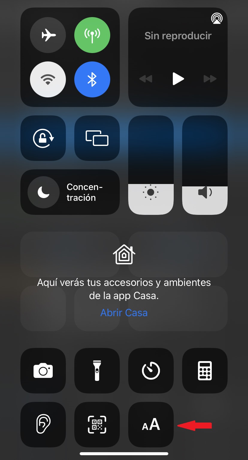 15 trucos de iOS 15 cambiar tamaño letras apps 4