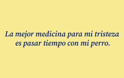 89 frases de perros para Instagram: bonitas, cortas, para fallecidos, graciosas…