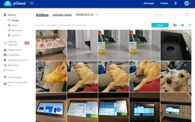 Una aplicación que te ayudará a respaldar tus archivos de por vida