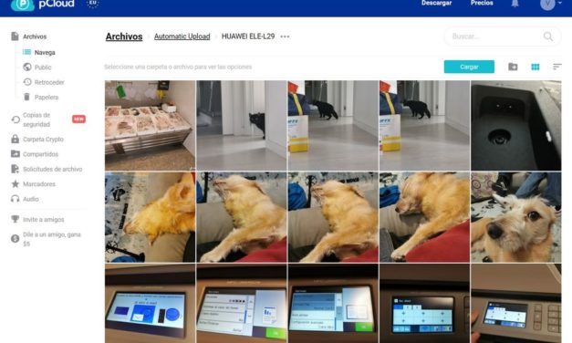 Una aplicación que te ayudará a respaldar tus archivos de por vida