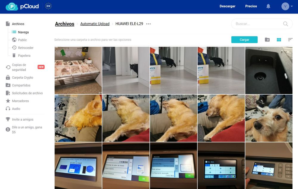 Una aplicación que te ayudará a respaldar tus archivos de por vida