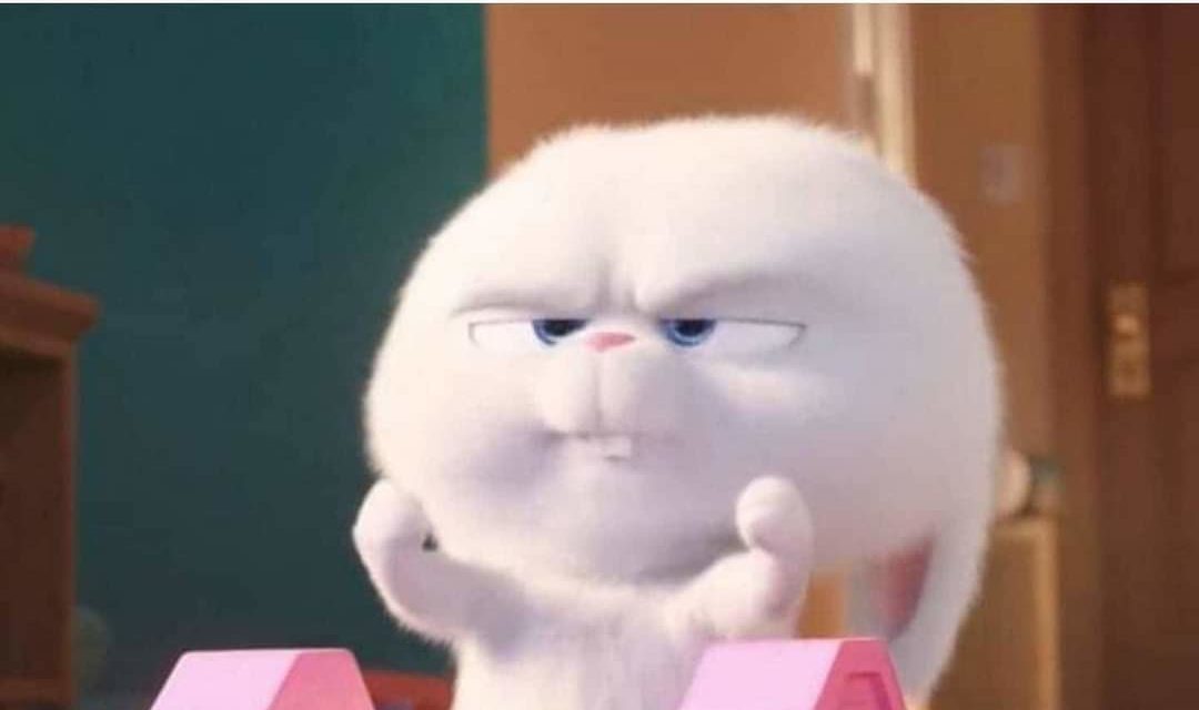Los memes más graciosos de la resaca de Navidades y los lunes que vienen