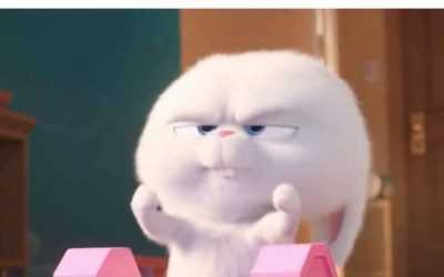 Los memes más graciosos de la resaca de Navidades y los lunes que vienen