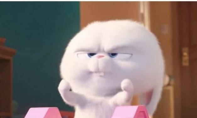 Los memes más graciosos de la resaca de Navidades y los lunes que vienen