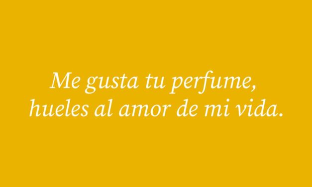119 frases para poner en la biografía de Instagram con tu pareja: cortas, compartidas, para fotos, Tumblr…
