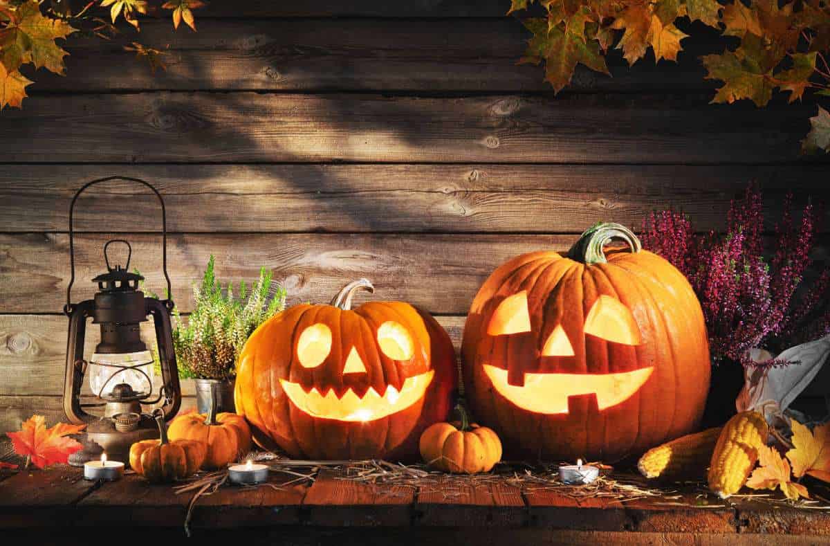 40 fondos de pantalla de Halloween para el móvil: de terror, bonitos, para  niños…