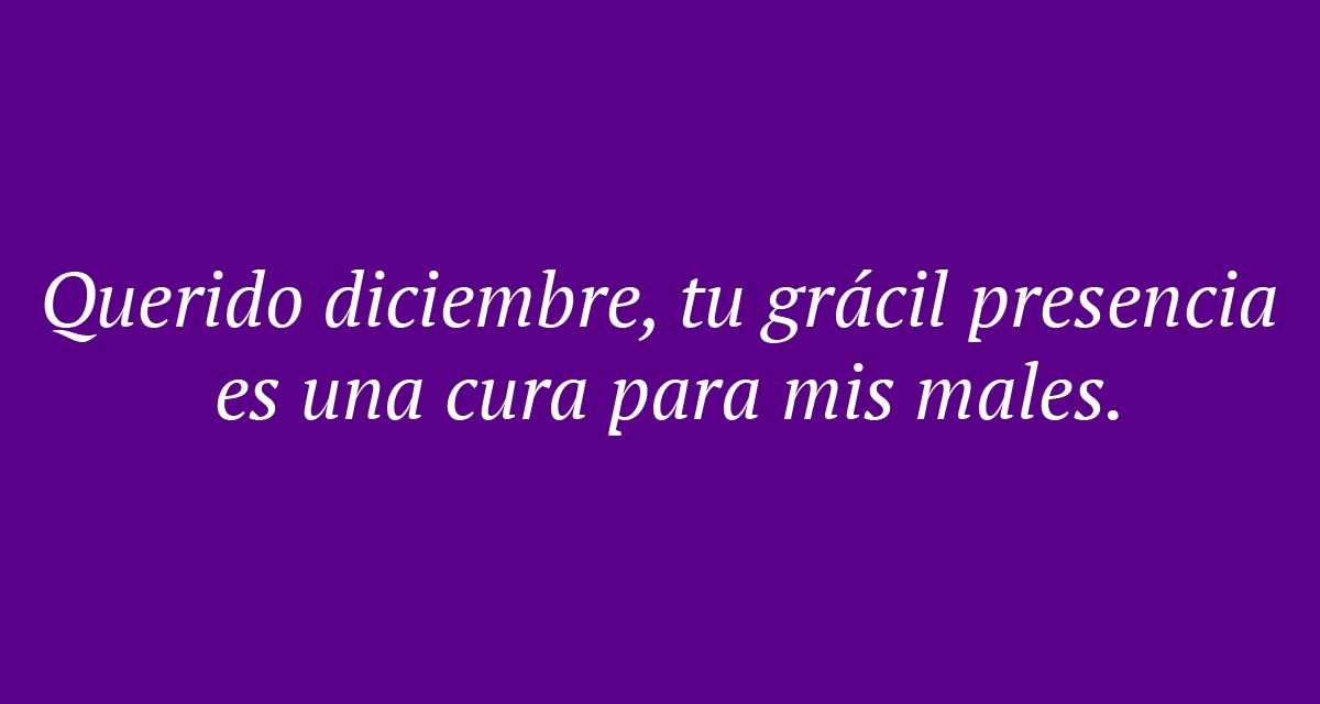 115 frases de Bienvenido diciembre 2022 para Instagram: bonitas, positivas, pensamientos, de Navidad…