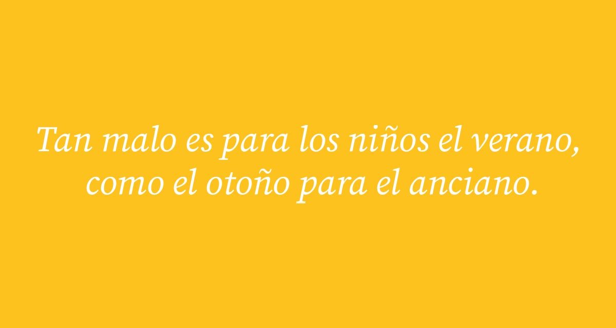 144 refranes de otoño para compartir por WhatsApp: graciosos, populares, para niños…