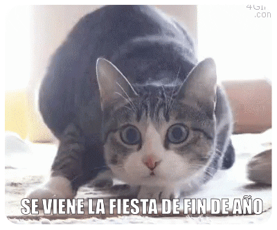 30 GIFs animados de Feliz Año Nuevo 2023 para enviar por WhatsApp 30