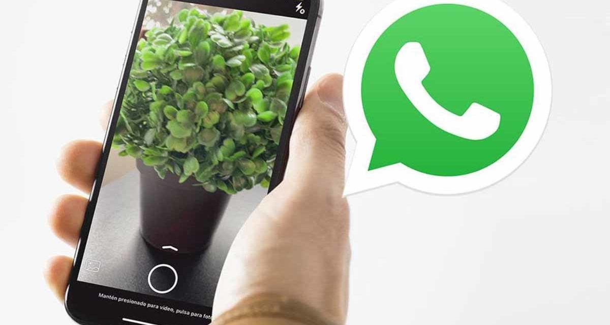 Problema de la cámara de WhatsApp con el zoom, cómo quitar el zoom de las fotos