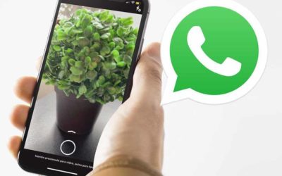 Problema de la cámara de WhatsApp con el zoom, cómo quitar el zoom de las fotos