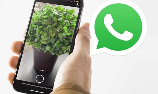 Problema de la cámara de WhatsApp con el zoom, cómo quitar el zoom de las fotos