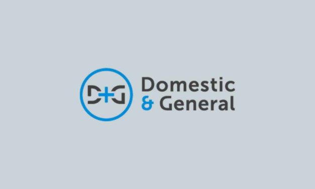 902363343, alternativa 900 equivalente al número de Seguro Domestic & General